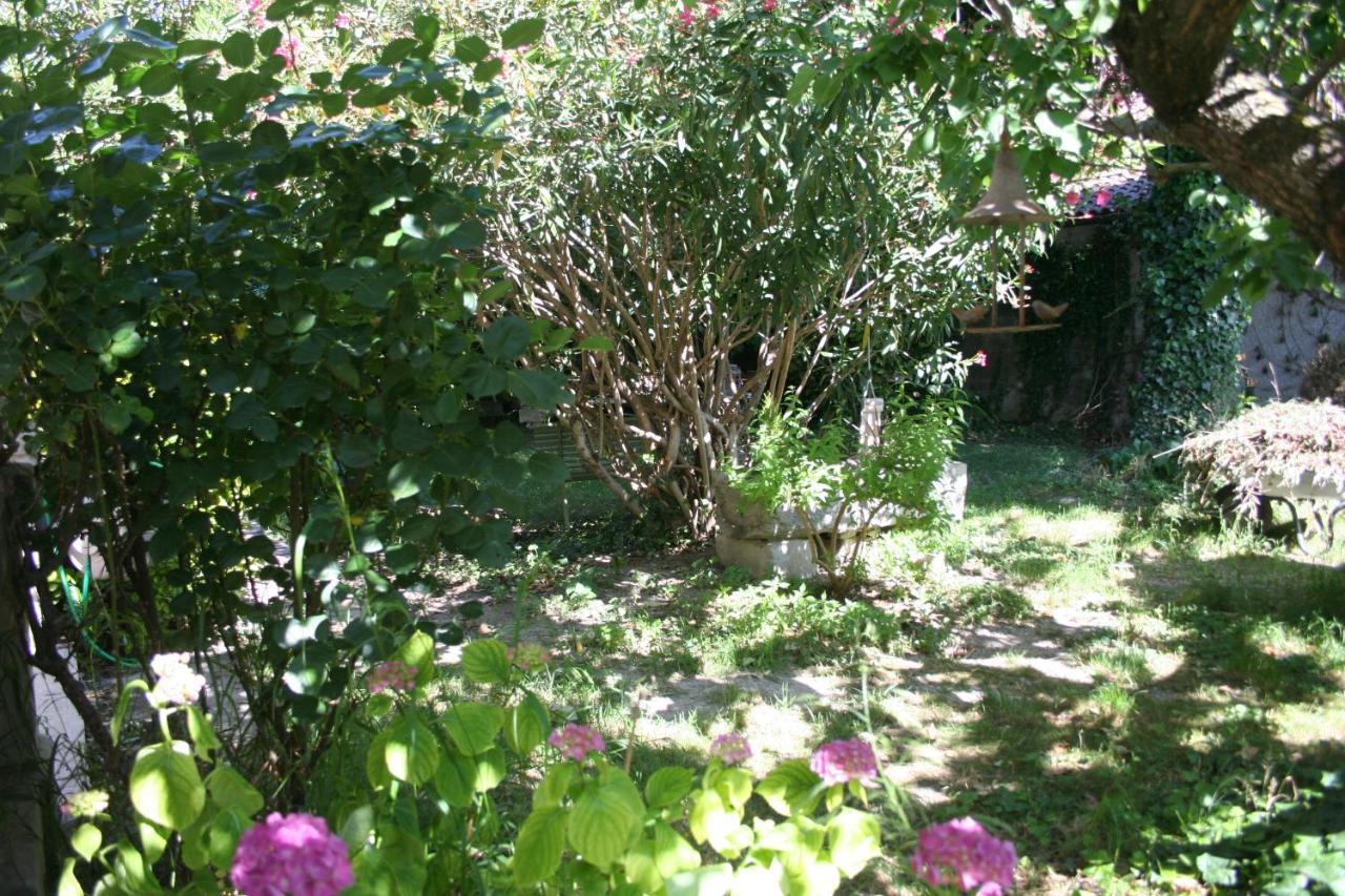 Le Petit Palais Maisonnette Aparthotel Avignon Kültér fotó