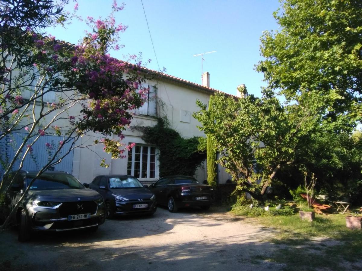 Le Petit Palais Maisonnette Aparthotel Avignon Kültér fotó