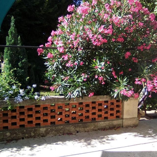 Le Petit Palais Maisonnette Aparthotel Avignon Kültér fotó